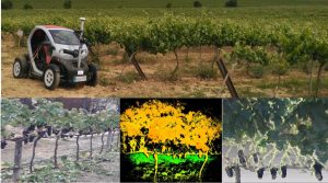 Proyecto europeo creará una plataforma buscan integrar sistemas de multi-robot para realizar operaciones agrícolas de precisión y automatizadas