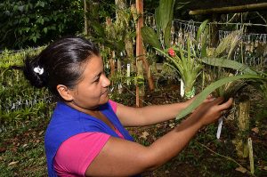 Red de mercados agroecológicos: la autoorganización ha sido clave en su funcionamiento
