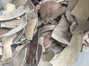 Estudiantes transforman residuos de cáscaras de frutas en biocarbón