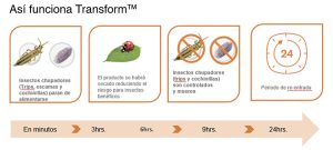 TransformTM eficaz insecticida contra trips, escamas y cochinillas