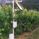 Programa Agtech Catalyze apoyará iniciativas que promuevan la sostenibilidad y productividad en la agroindustria