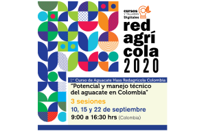 Participa en el "1er Curso de Aguacate Hass Redagrícola Colombia - Potencial y manejo técnico del aguacate en Colombia"