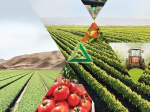 Tecnología alemana en nutrientes de especialidad