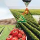 Tecnología alemana en nutrientes de especialidad