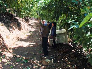 Focalizar la producción pero evitando el añerismo