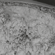 QUICK-SOL®: calidad de raquis y firmeza de baya en Uva de Mesa