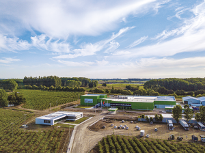 “El concepto de ventana ya no existe en arándano. Es un mundo de ‘commodity’ que está basado en la calidad”