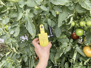 Optiriego, sensor portátil permitiría ahorrar hasta un 30% de agua en cultivo de hortalizas y frutales