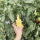 Optiriego, sensor portátil permitiría ahorrar hasta un 30% de agua en cultivo de hortalizas y frutales