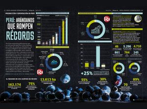 Perú: Arándanos que rompen récords