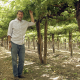 Rafael Jordán, de Chacabuco Quality Grapes: “Para producir uva de calidad hay que invertir plata en toda la cadena”