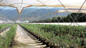 La gestión del plástico como gran desafío para la agricultura