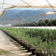 La gestión del plástico como gran desafío para la agricultura