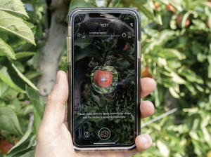 ‘Startups’ que buscan dar un nuevo aire a la industria de la manzana