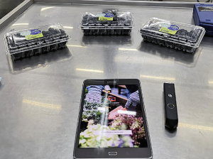 Adaptación de herramientas tecnológicas para evaluar la calidad de frutos bajo el concepto de agricultura digital