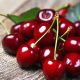 Uso de BOTAN® FOLIAR FORTE para mejorar rendimientos, calibre y calidad en cerezas y manzanas