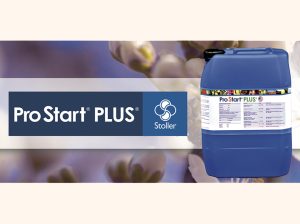 Prostart Plus®, estimulando una mejor salida de receso
