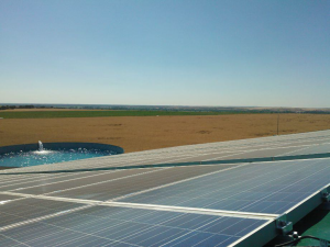 Energía verde en el Valle de Azapa