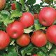 El futuro del negocio de las manzanas