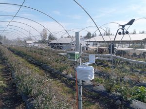 Telemetría Dropcontrol para asegurar el desarrollo de la planta