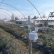 Telemetría Dropcontrol para asegurar el desarrollo de la planta