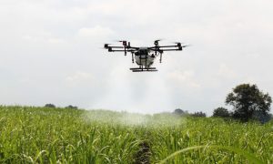 Con la ayuda de un software, se podrán liberar controladores biológicos mediante drones
