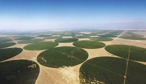 Olmos: Los desafíos que implica un proyecto agrícola de 38,000 hectáreas en medio del desierto