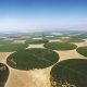 Olmos: Los desafíos que implica un proyecto agrícola de 38,000 hectáreas en medio del desierto