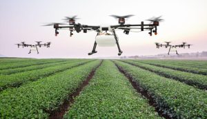 Inversión en startups de tecnología agrícola de India creció 22% este año y se consolidan como los más innovadores detrás de EE UU y China