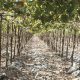 El reto de ser productivos sobre un terreno pedregoso