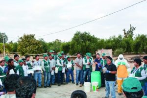 Plaguicidas  de uso agricola  y reguladores de crecimiento Investigación, registro  y  soporte técnico