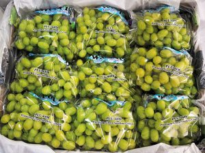 Los últimos avances en tecnología de postcosecha