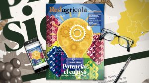 El inevitable recambio varietal en uva y las claves para una temporada exitosa son parte de la nueva edición de Revista Redagrícola