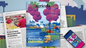 La adaptación en los manejos en uva de mesa se profundiza en revista Redagrícola de diciembre