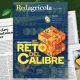 El reto del calibre en mandarinas y la actualidad de la palta son parte de nueva edición de Revista Redagrícola