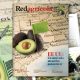 El futuro de la palta peruana y su ambicioso plan en EE UU: destaques de nueva edición de Revista Redagrícola