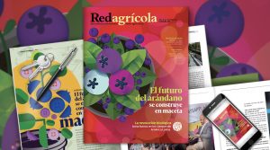 Nuevas técnicas en los arándanos lideran la nueva edición de Revista Redagrícola Perú