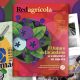 Nuevas técnicas en los arándanos lideran la nueva edición de Revista Redagrícola Perú