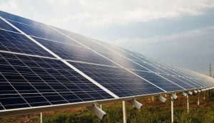 ERNC y producción agrícola: hacia una coexistencia equilibrada