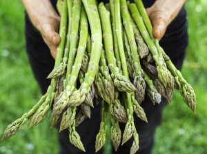 El espárrago aprovecha los precios altos para compensar en gran parte su alicaída producción