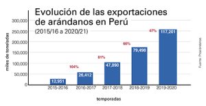 Arándanos en Perú, el espectacular y rápido crecimiento de esta industria