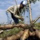 Coronavirus: productores de Colombia se vieron afectados por la pandemia