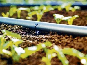 Inversores preocupados por la crisis climática muestran alto interés en empresas del sector agrícola y de riego