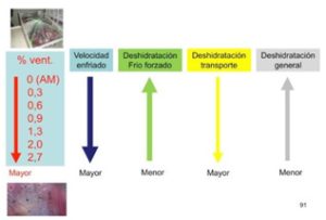 YaraMila COMPLEX, el fertilizante edáfico más completo