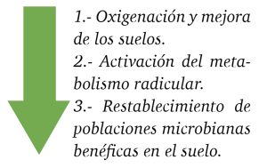 Manejo de suelo y activación metabólica