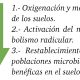 Manejo de suelo y activación metabólica