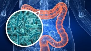 Crean un suplemento de fibra a base de desechos de frutas y hortalizas