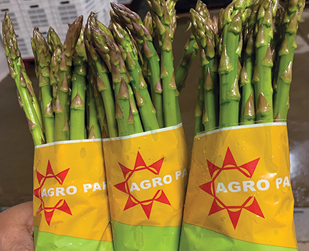 Figura 2. Protección de la fruta en el bin contra la exposición a altas temperaturas.