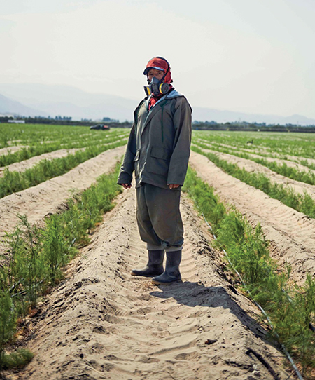 Cuadro 1. Tiempo real desde la cosecha a destino.