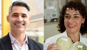 Biocontrol de plagas: foco de tercera sesión del curso de biológicos